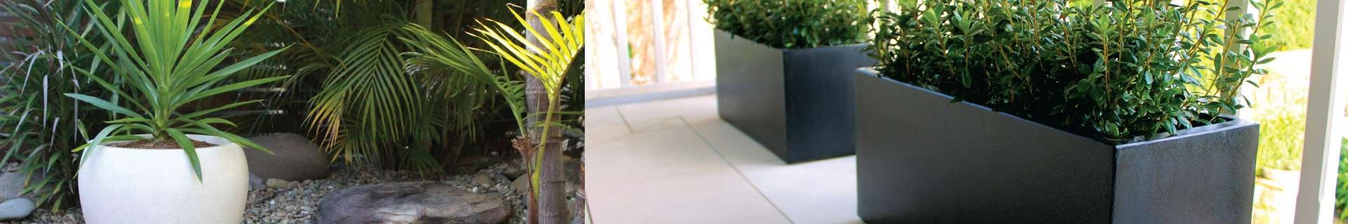 Outdoor pots with plants in them