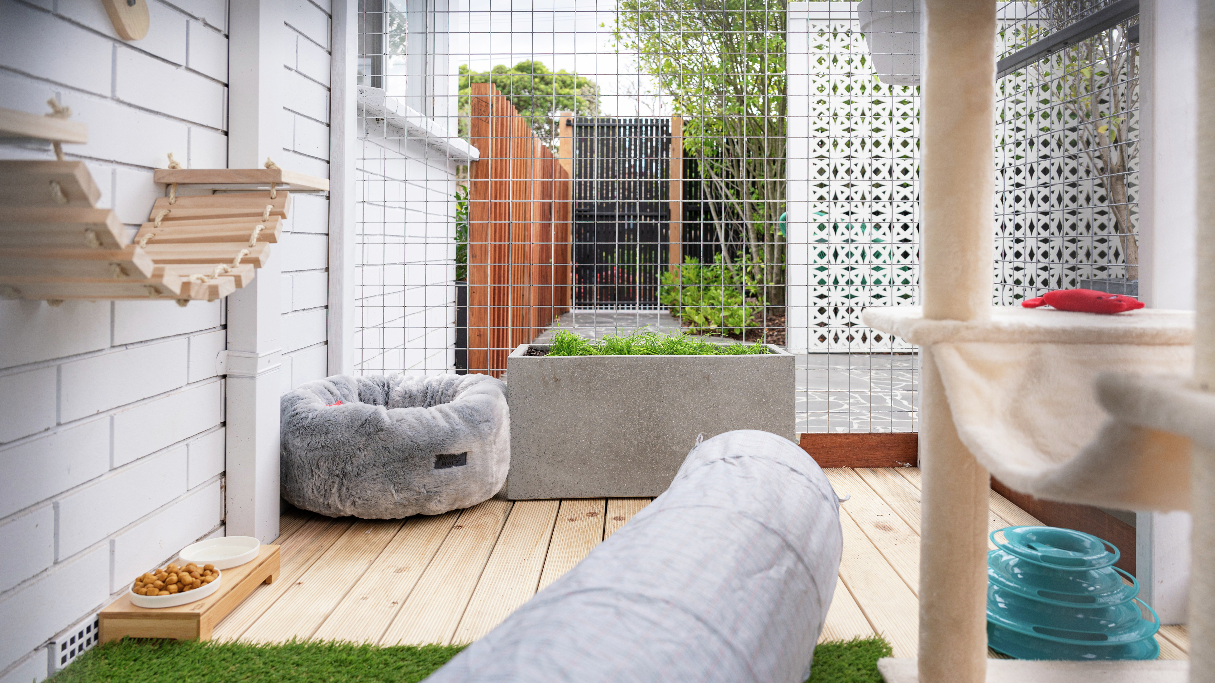 Cat enclosure shop netting bunnings