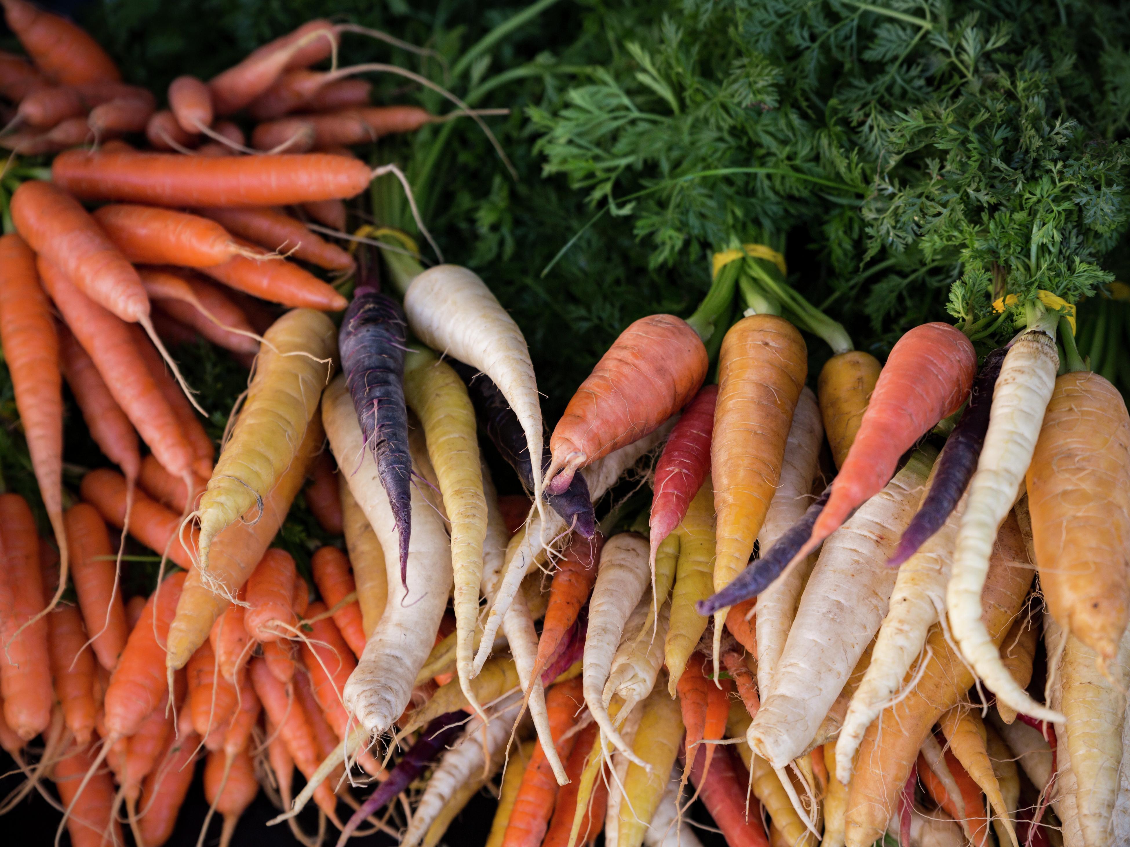 How To Grow Harvest And Store Carrots Bunnings Australia