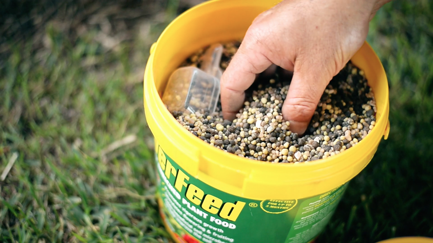 Hand scooping fertiliser out of bucket