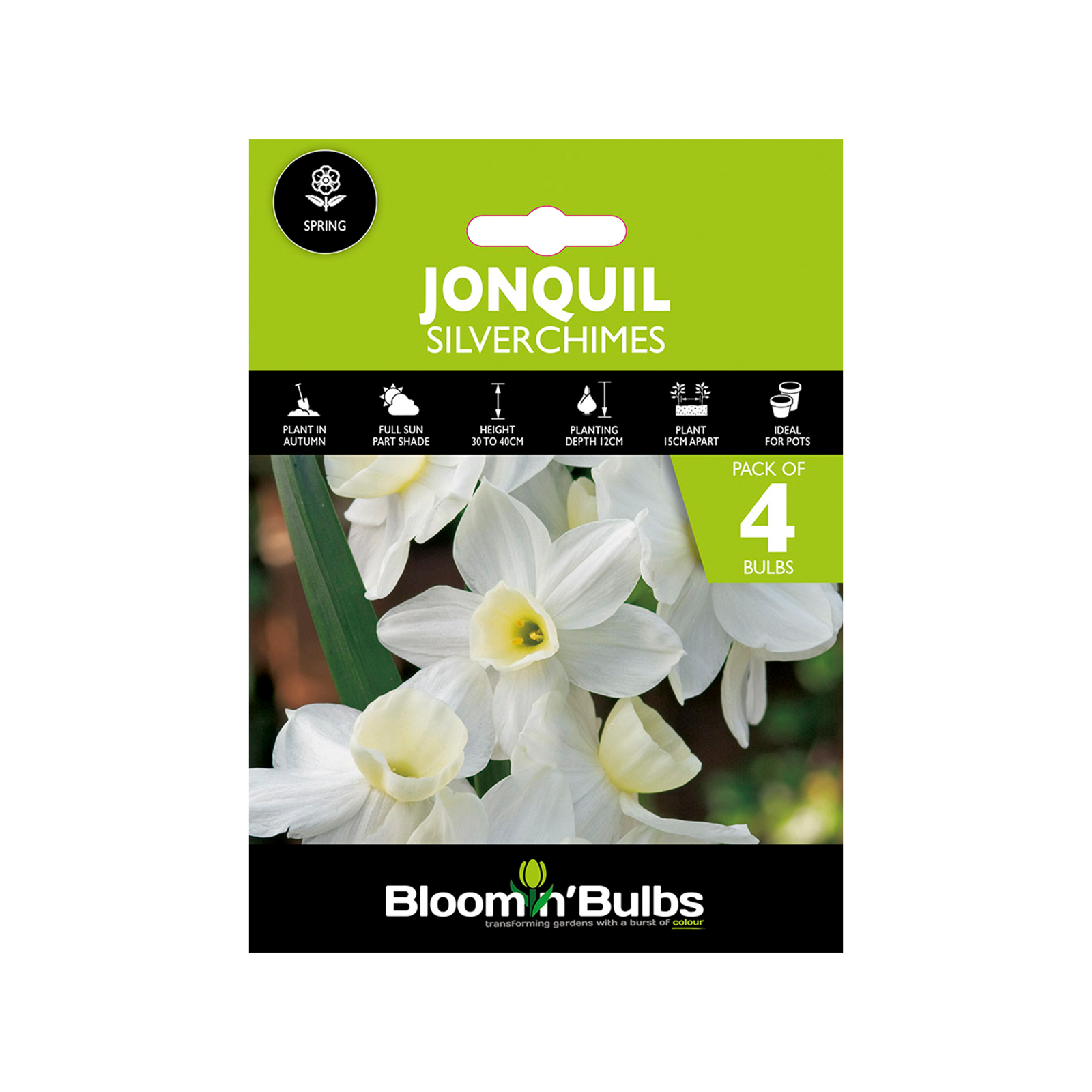 Bloomin' Bulbs Jonquil Silver Chimes Narcissus jonquila 4 Pack