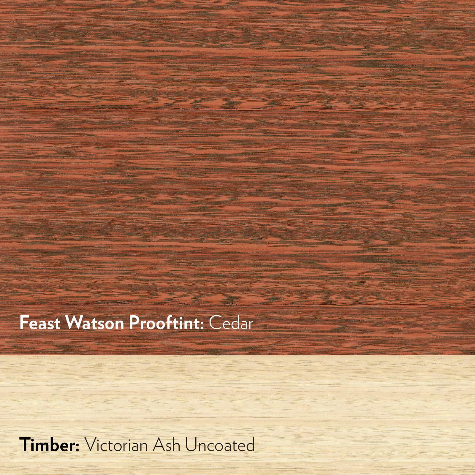 Feast Watson 250ml Cedar Prooftint Interior Stain - Bunnings Australia