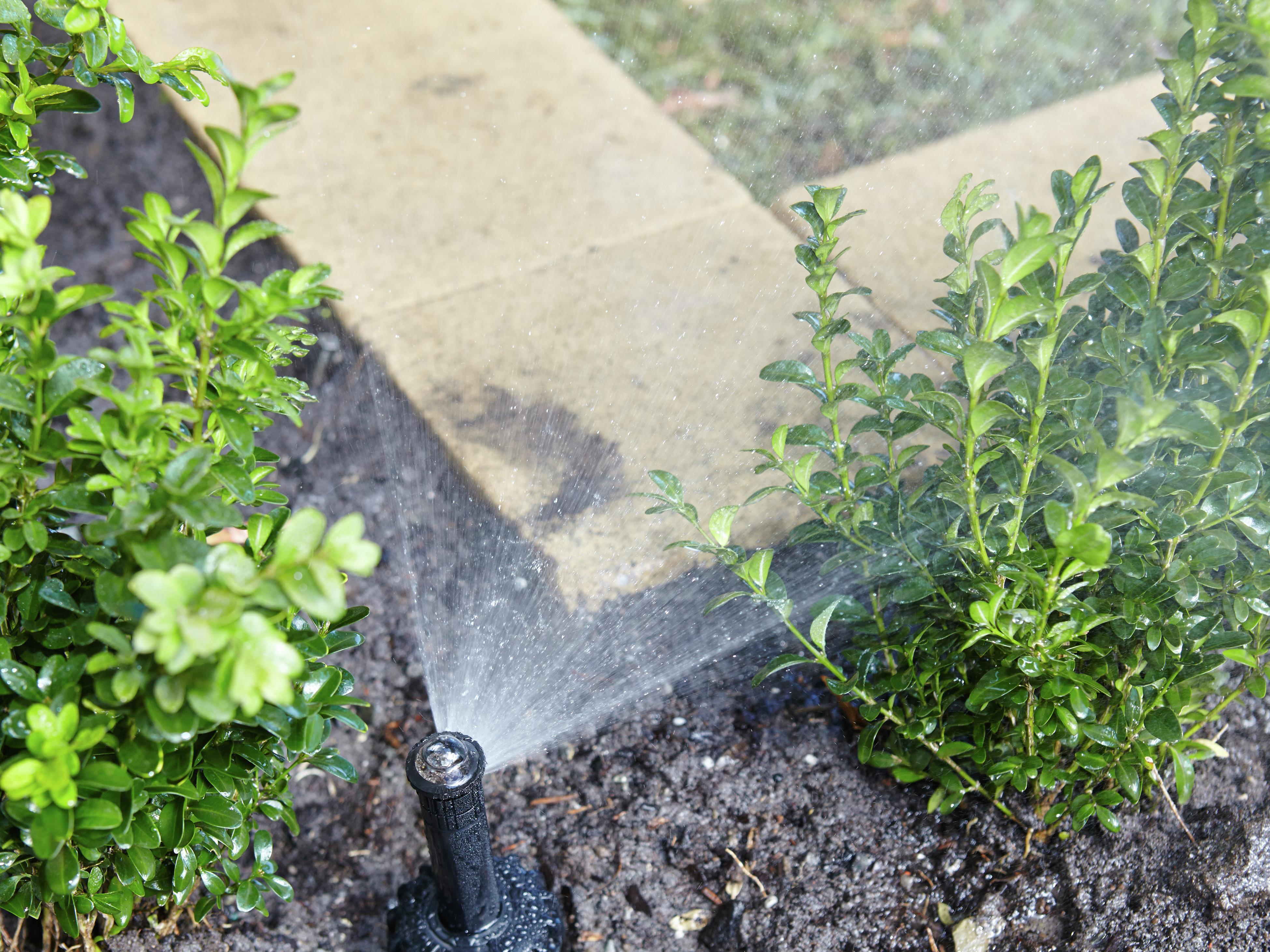 How To Check A Law Sprinkler System (6 Steps)