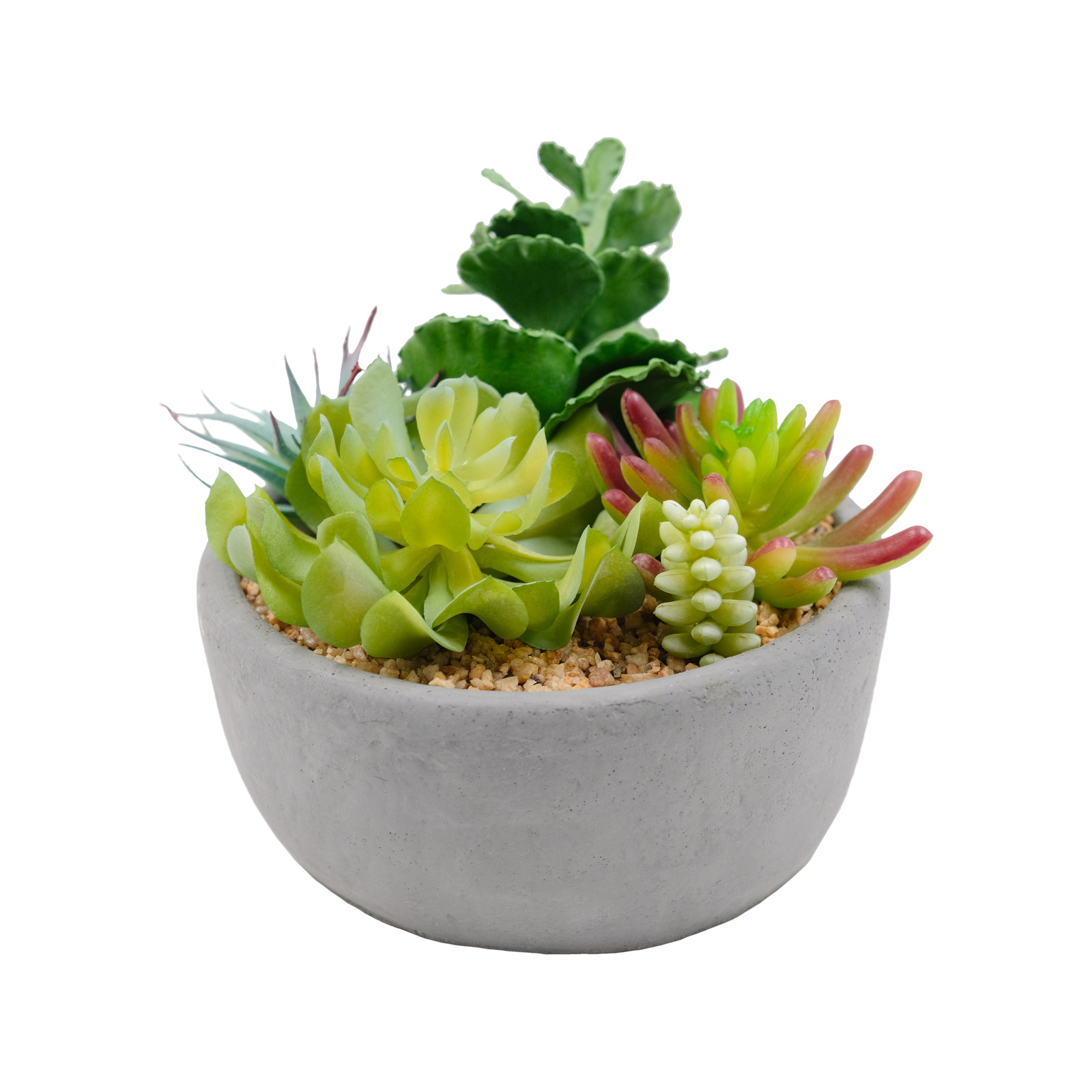 UN-REAL 19cm Artificial Succulents Quin In Charcoal Pot - Bunnings ...