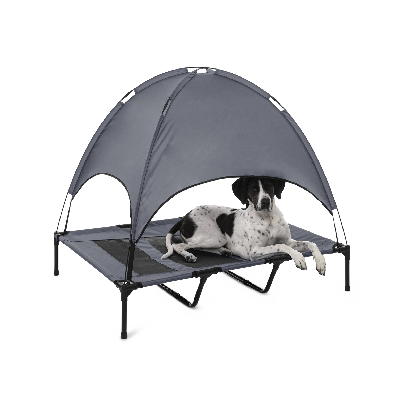 Charlies Elevated Dog Bed With Tent Grey Medium Bunnings Australia