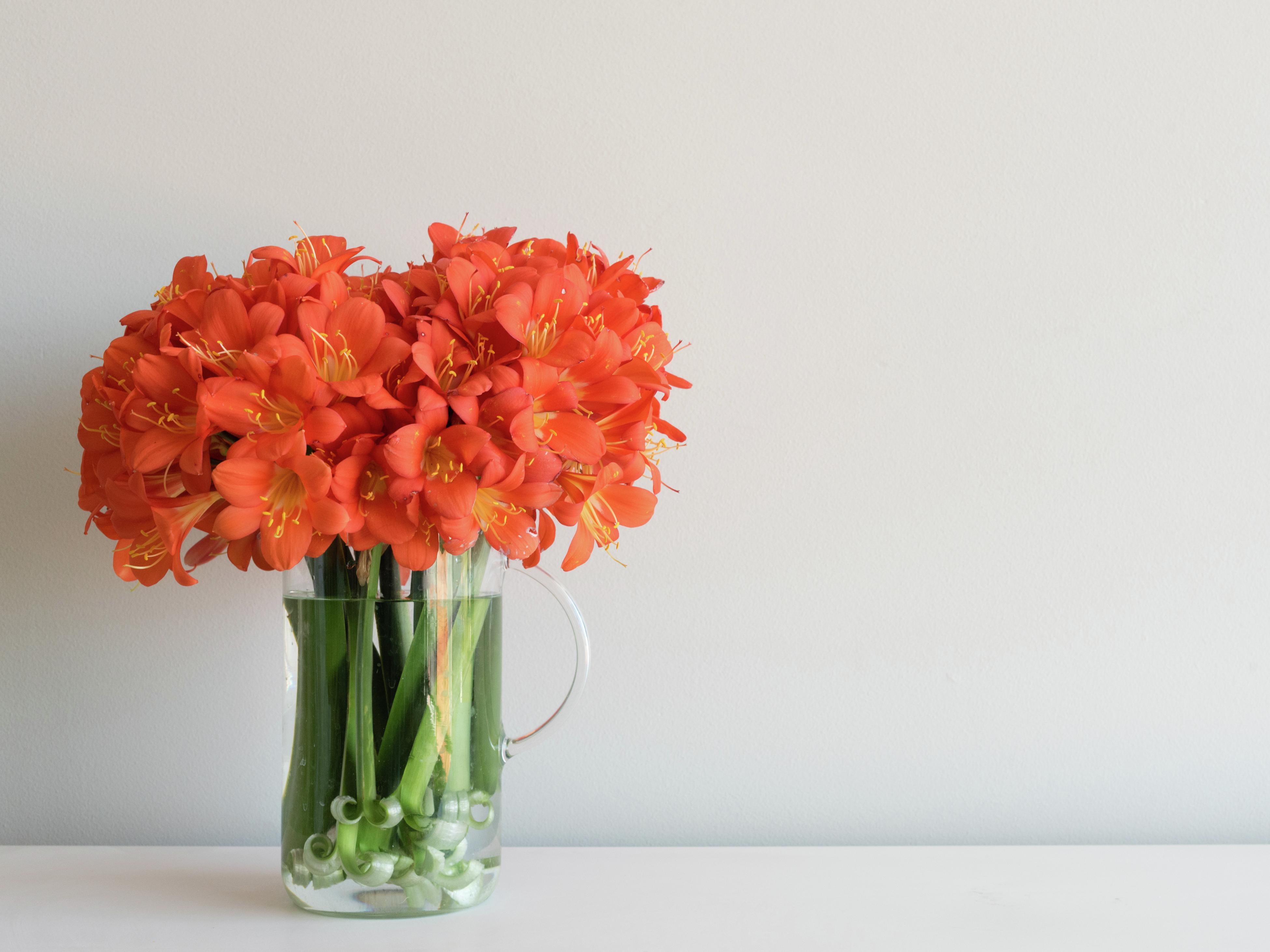 Fresh Flowers Marketplace Bunnings Australia