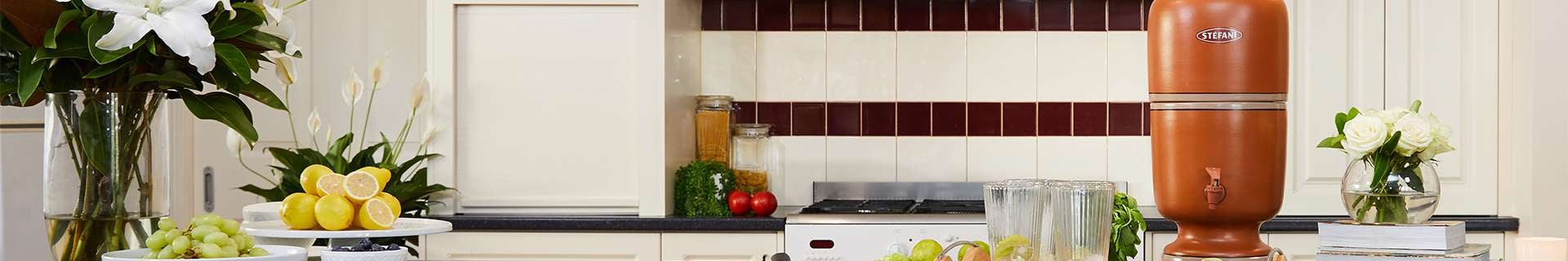 Background banner image displaying Stefani product.