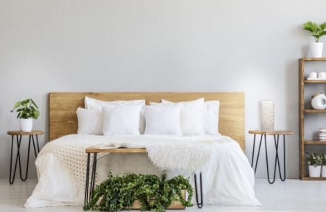 Bedroom with timber bedframe and timber bedside and bed-end tables with indoor plants
