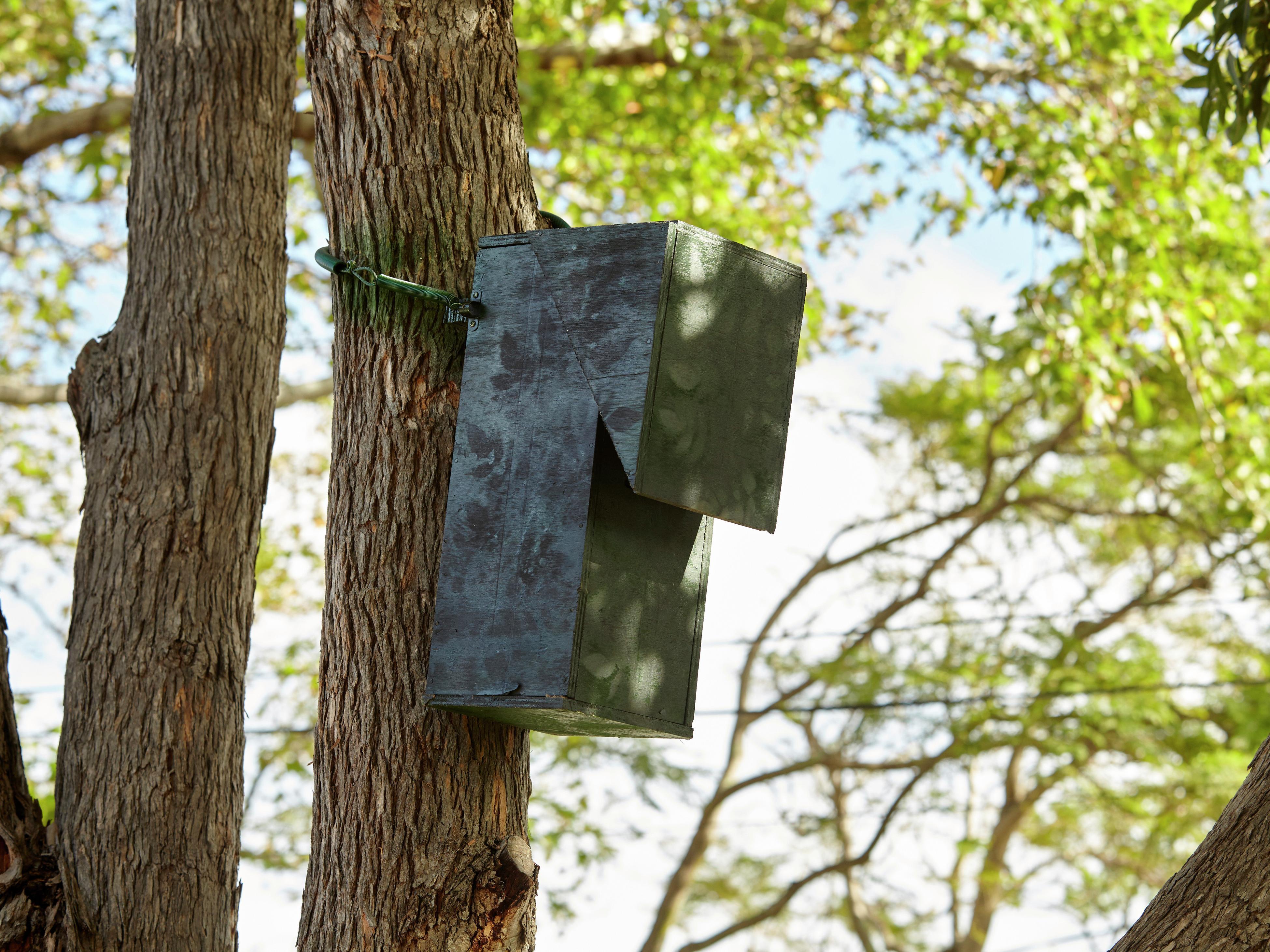 How To Make a D.I.Y. Bird Nesting Box Bunnings Australia