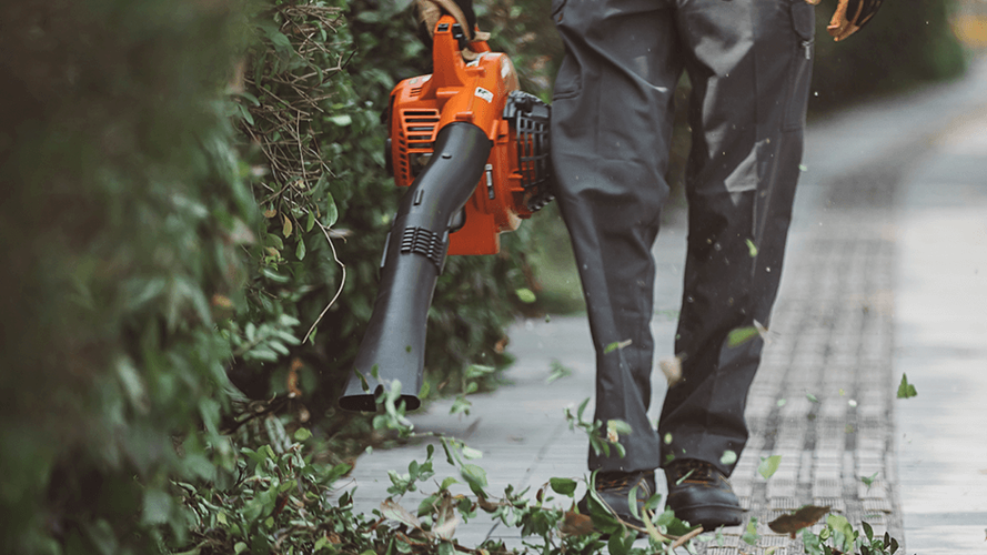 Person using leaf blower to clean up hedge clippings