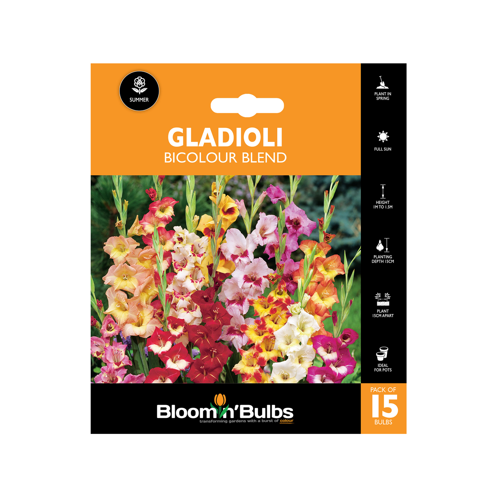 Bloomin Bulbs Gladioli Bicolour Blend 15 Pack Bunnings Australia