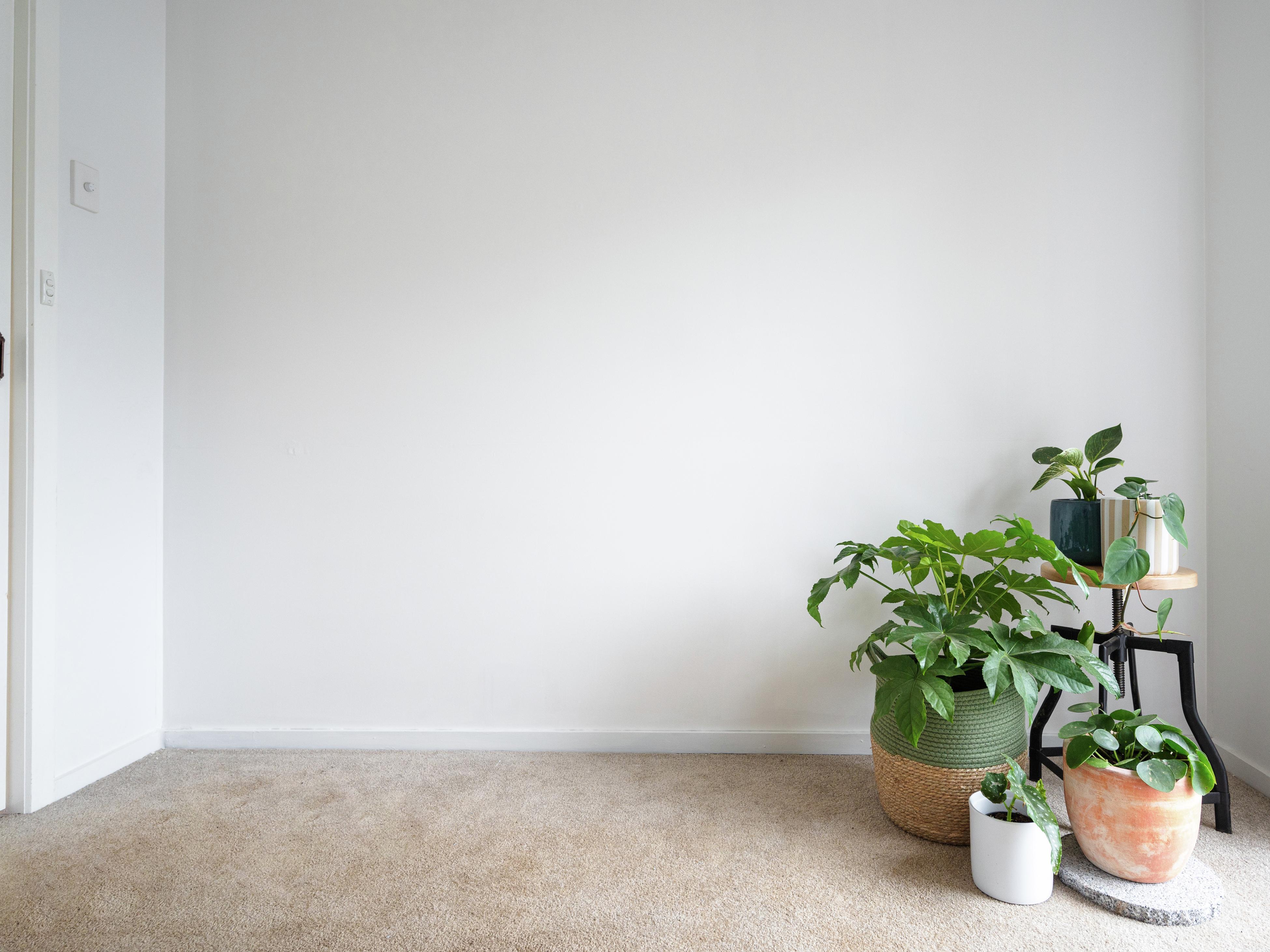 How to Fix a Hole in the Wall Bunnings Australia