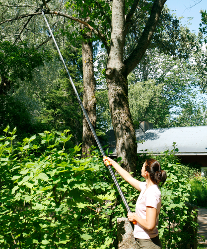Person cutting tree limb with extendable pruner