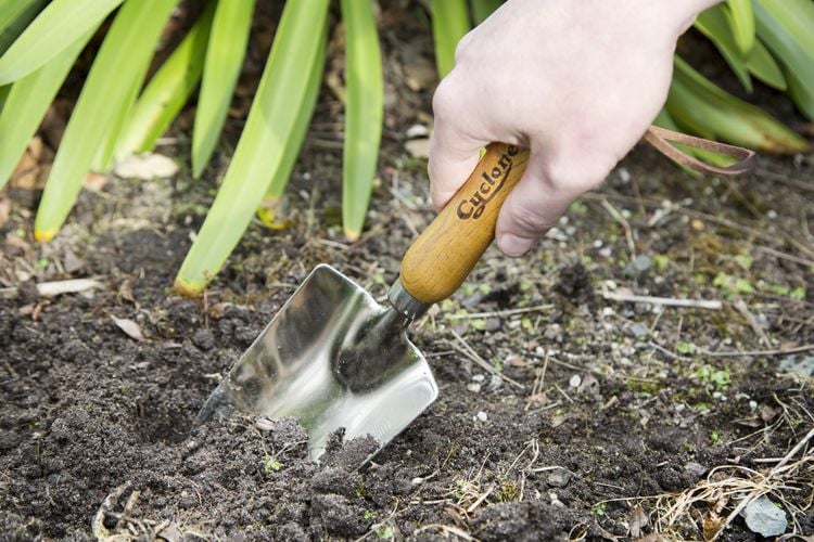 Person digging with a trowel