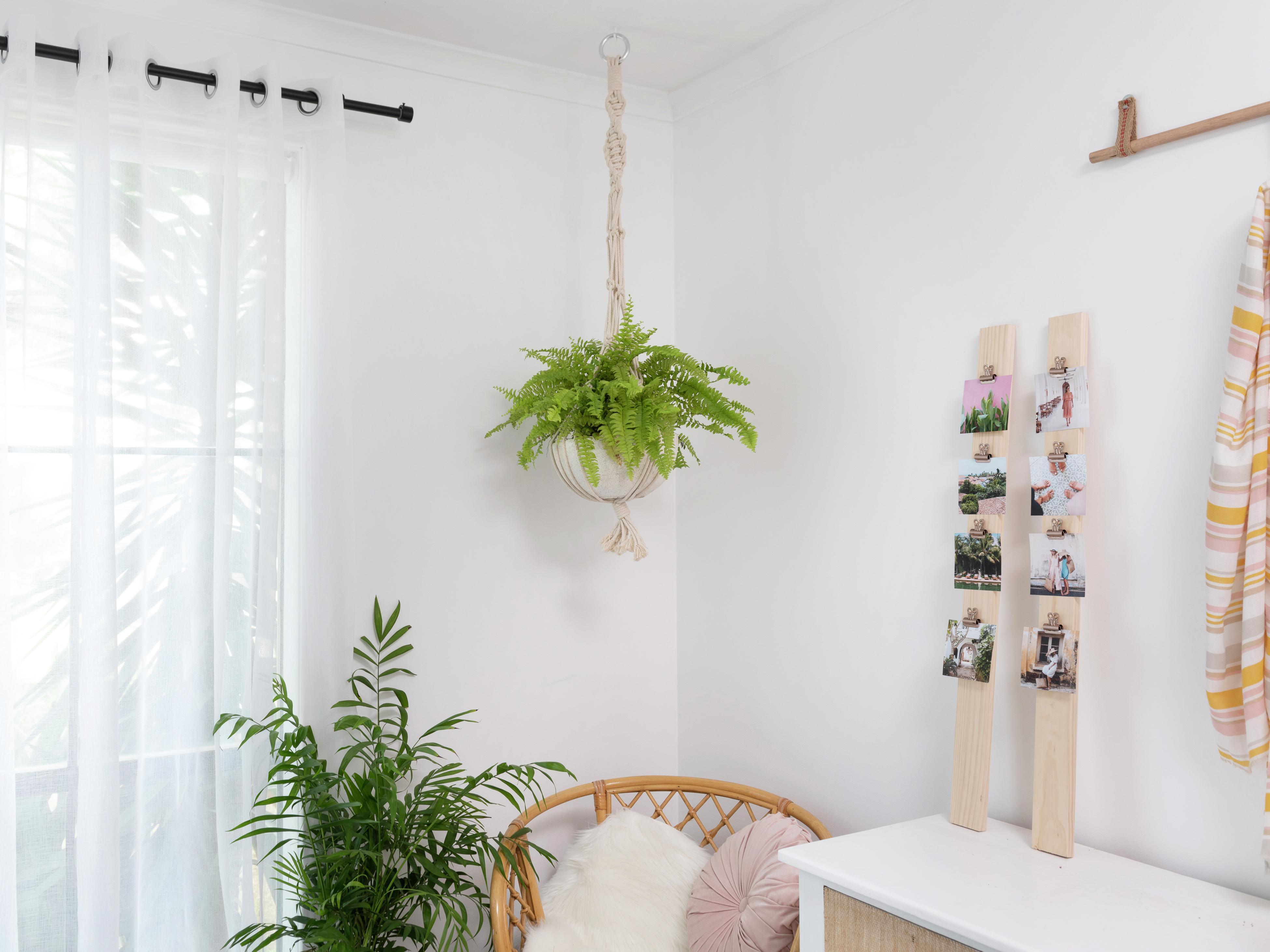 How to hang plants deals from ceiling