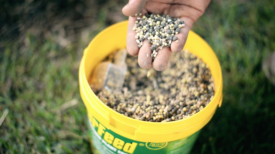 Hand holding fertiliser scooped from bucket