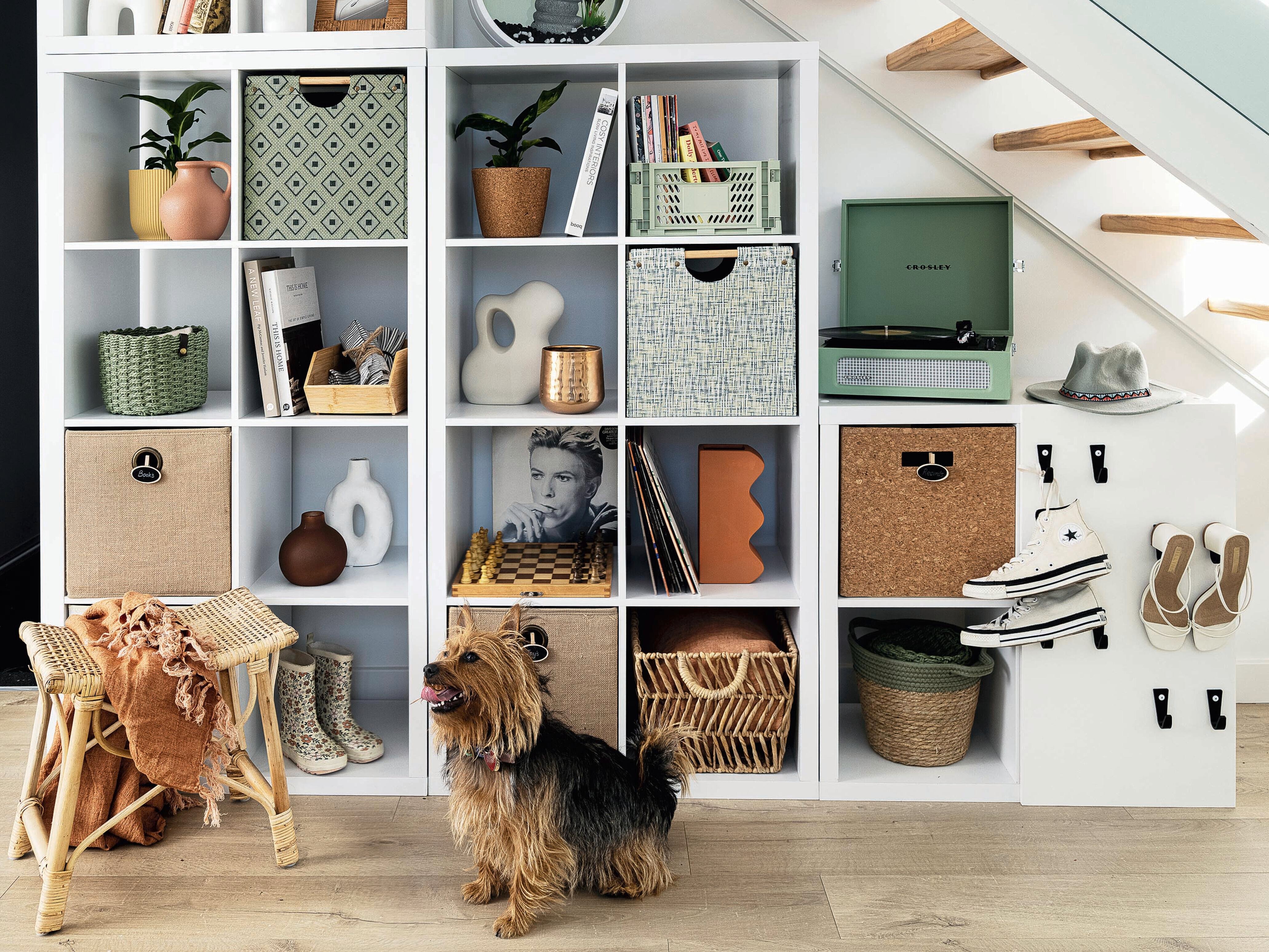 11 Clever Storage for Under the Stairs Ideas and Inspiration