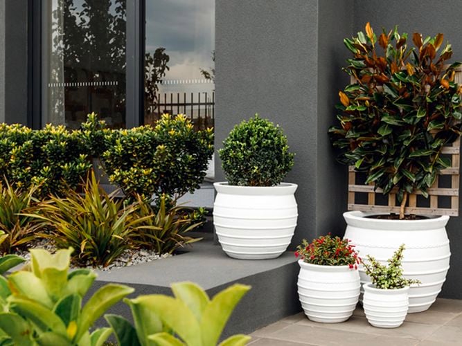 Tuscan Path Catalina belly pots in a contemporary outdoor living space.