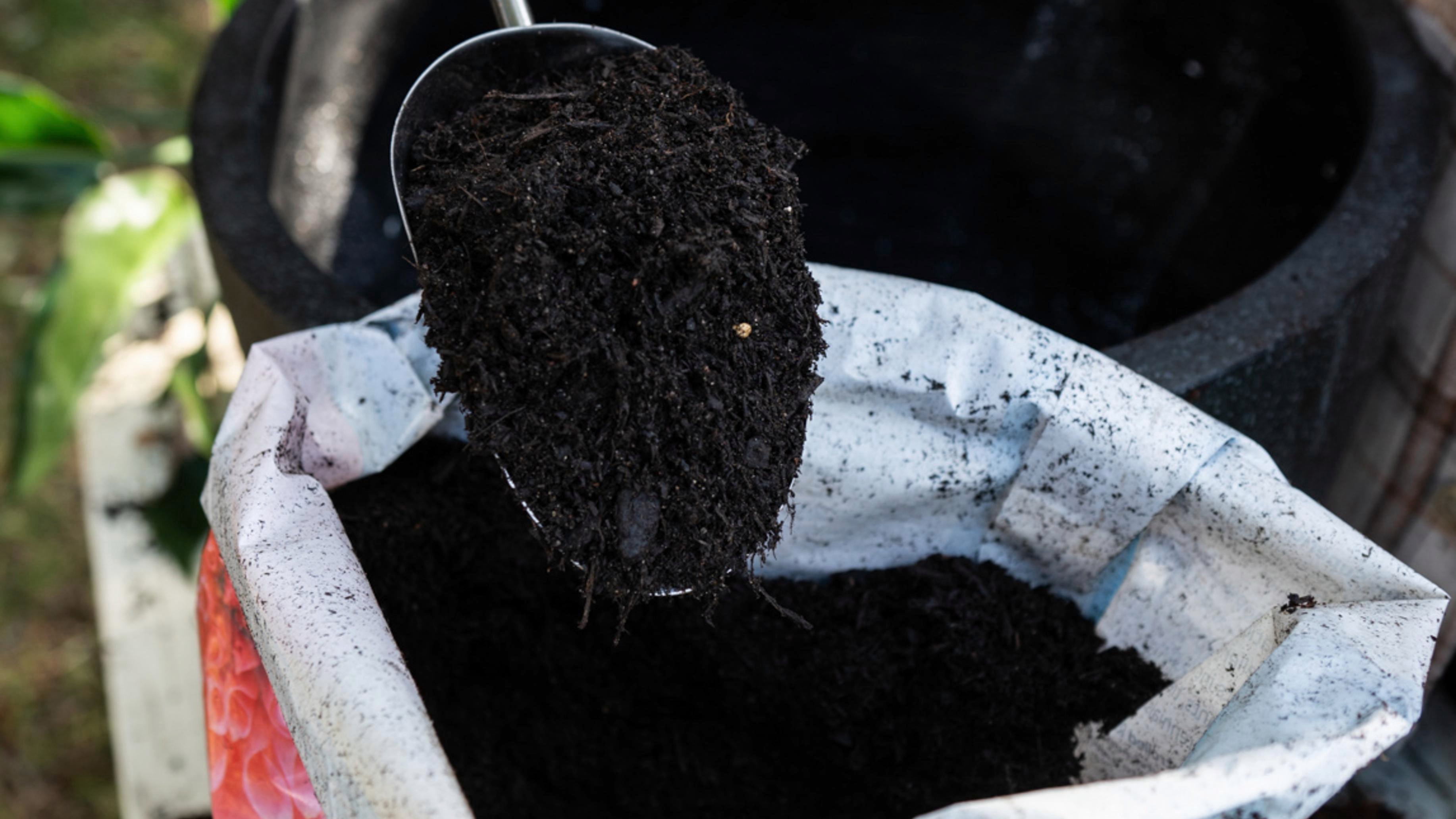 Scotts Osmocote's Guide To Giving Your Plants The Best Pot Bunnings Australia