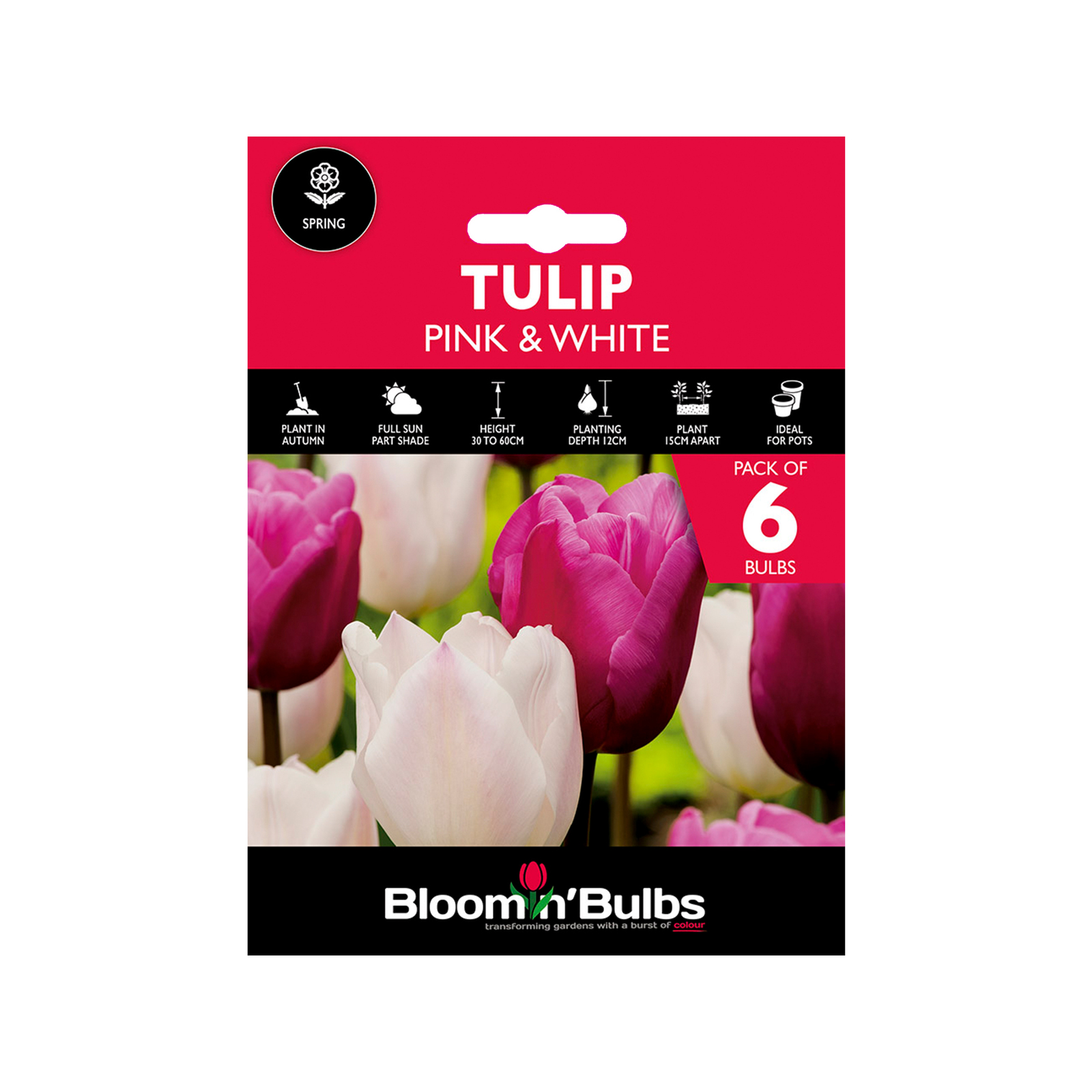 Bloomin Bulbs Tulip Duo Pink And White Tulipa 6 Pack Bunnings