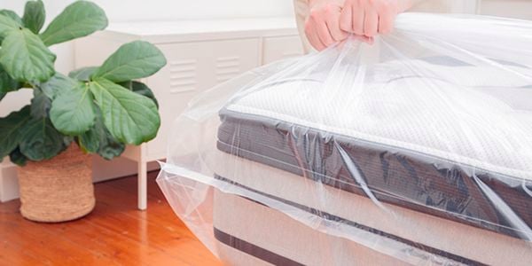 mattress protector over mattress with small pot plant sitting in the corner of the bedroom