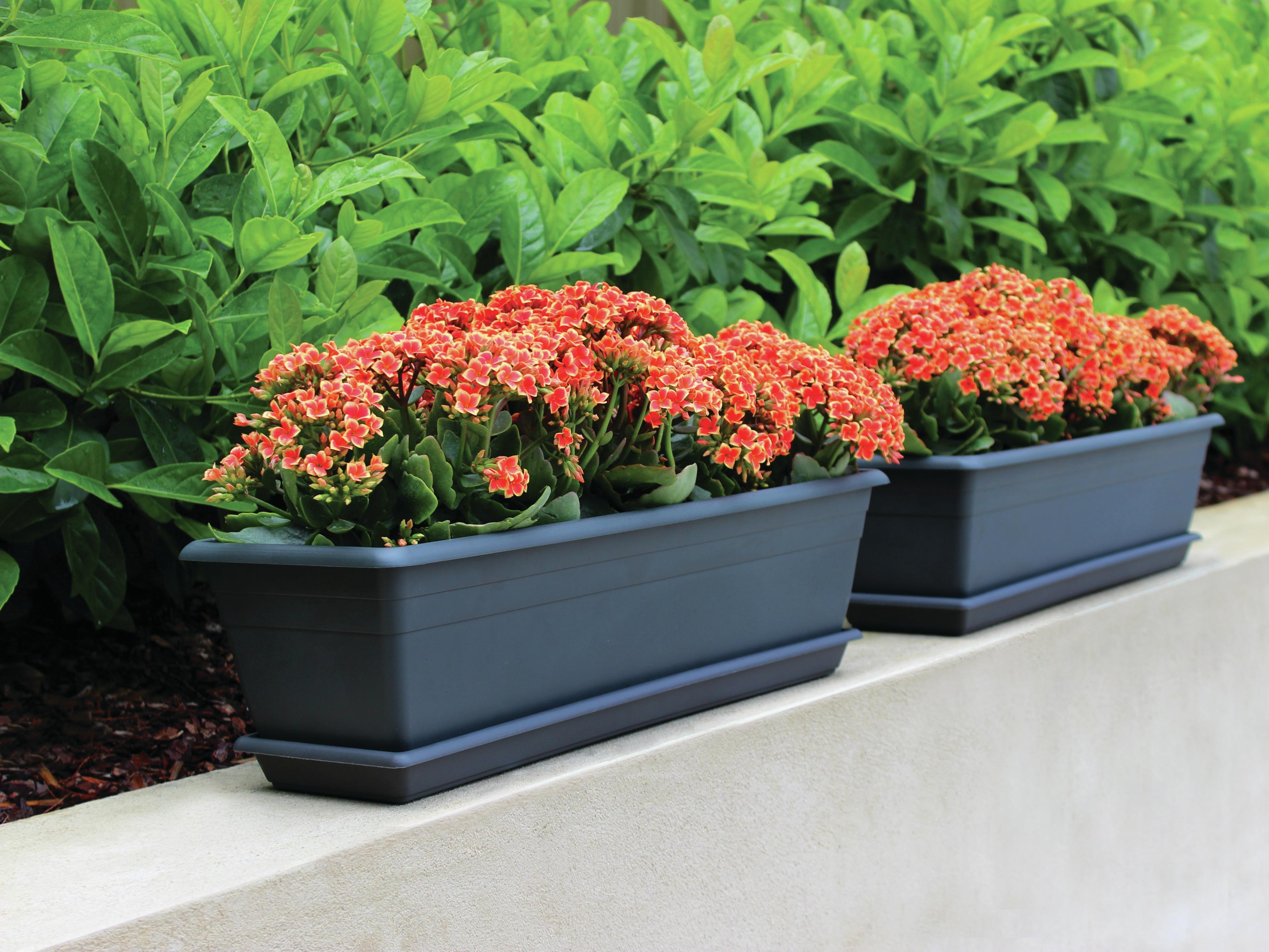 Outdoor Plant & Garden Pots Bunnings New Zealand