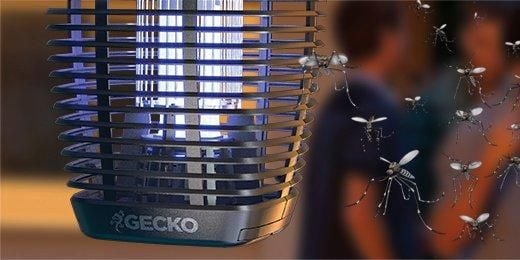 Gecko zapper
