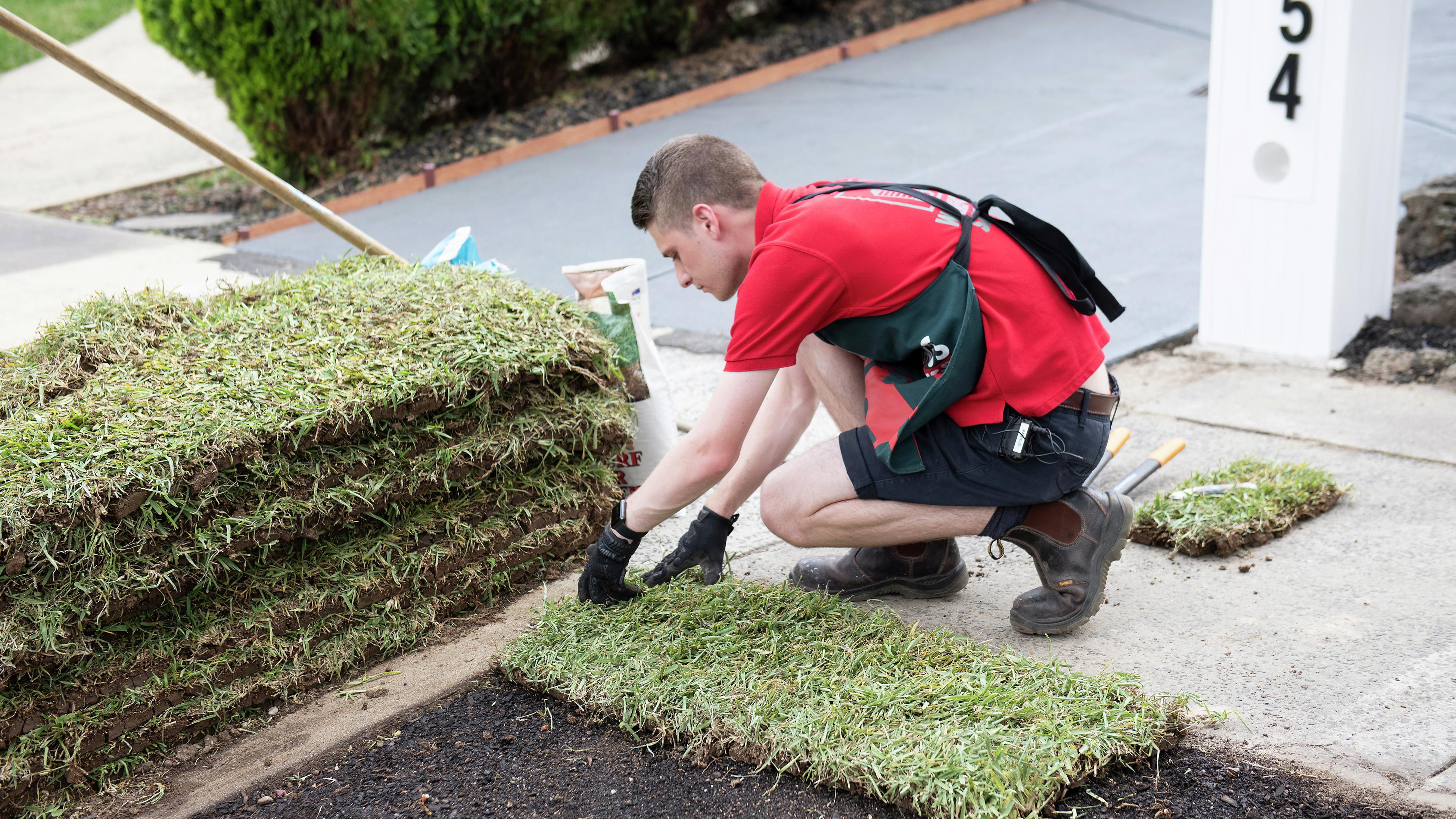 Lawn roller deals bunnings