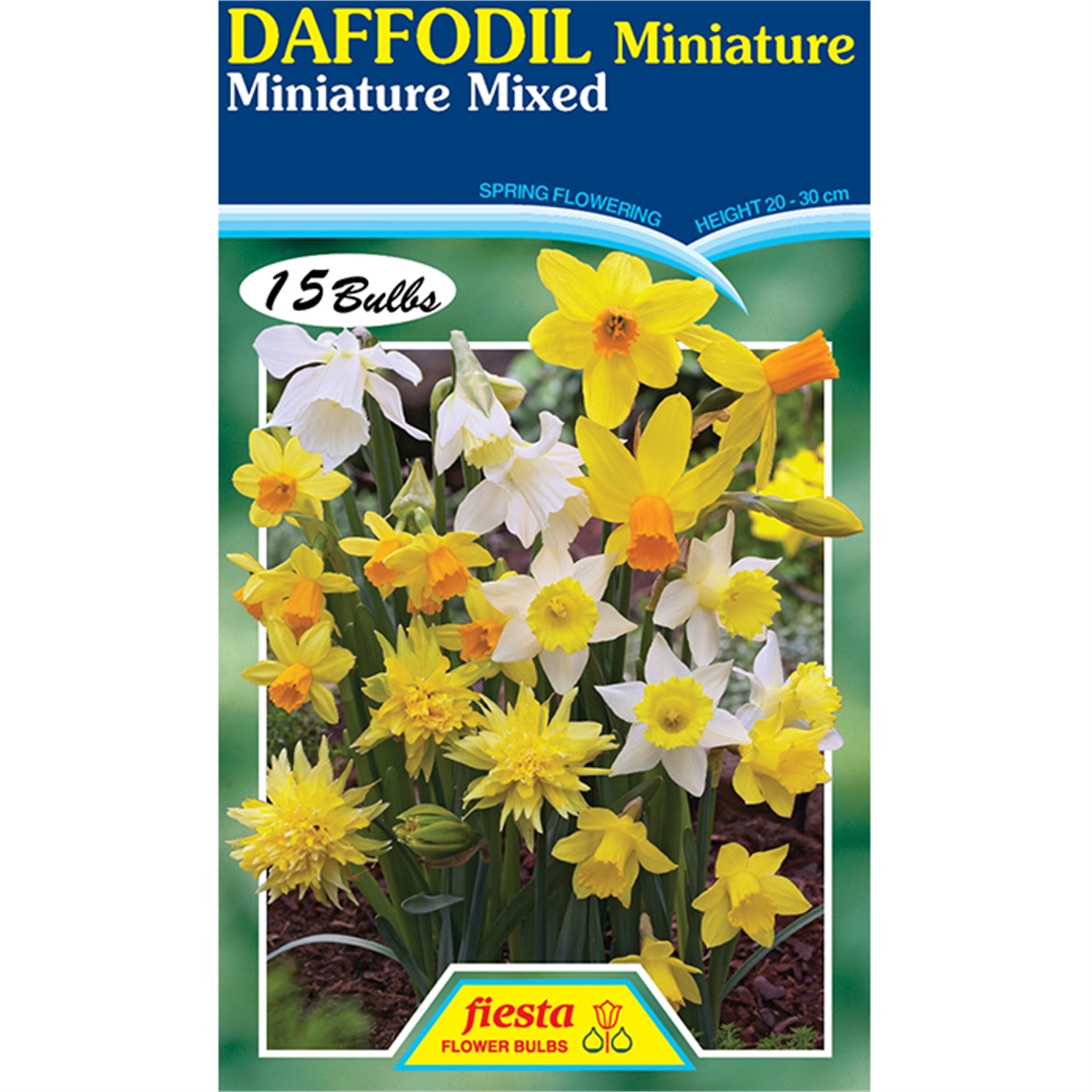 Daffodil Miniature Mixed 15 Bulbs Bunnings New Zealand