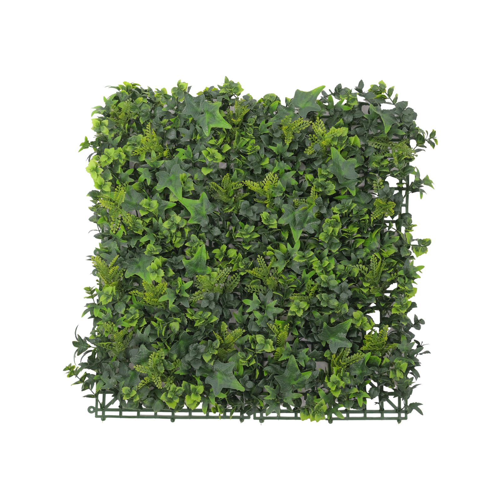 UnReal 50 x 50cm English Elm Artificial Hedge Bunnings New Zealand