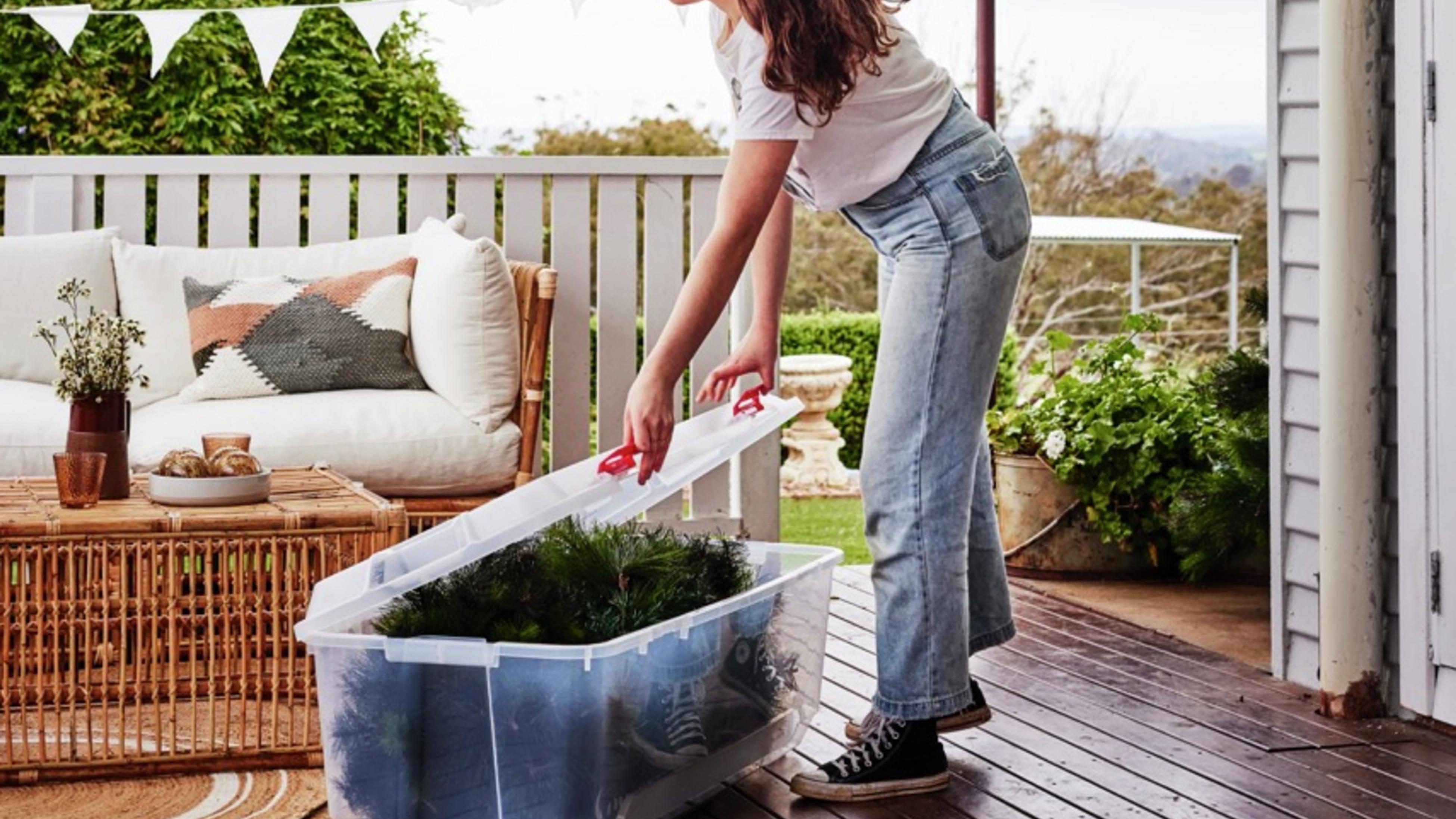 How To Propagate String Of Pearls In Water Or Soil