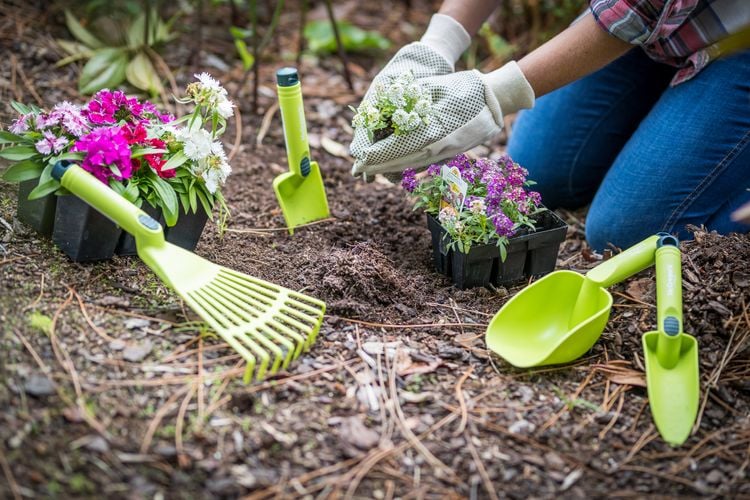 Person preparing garden bed for flowers
