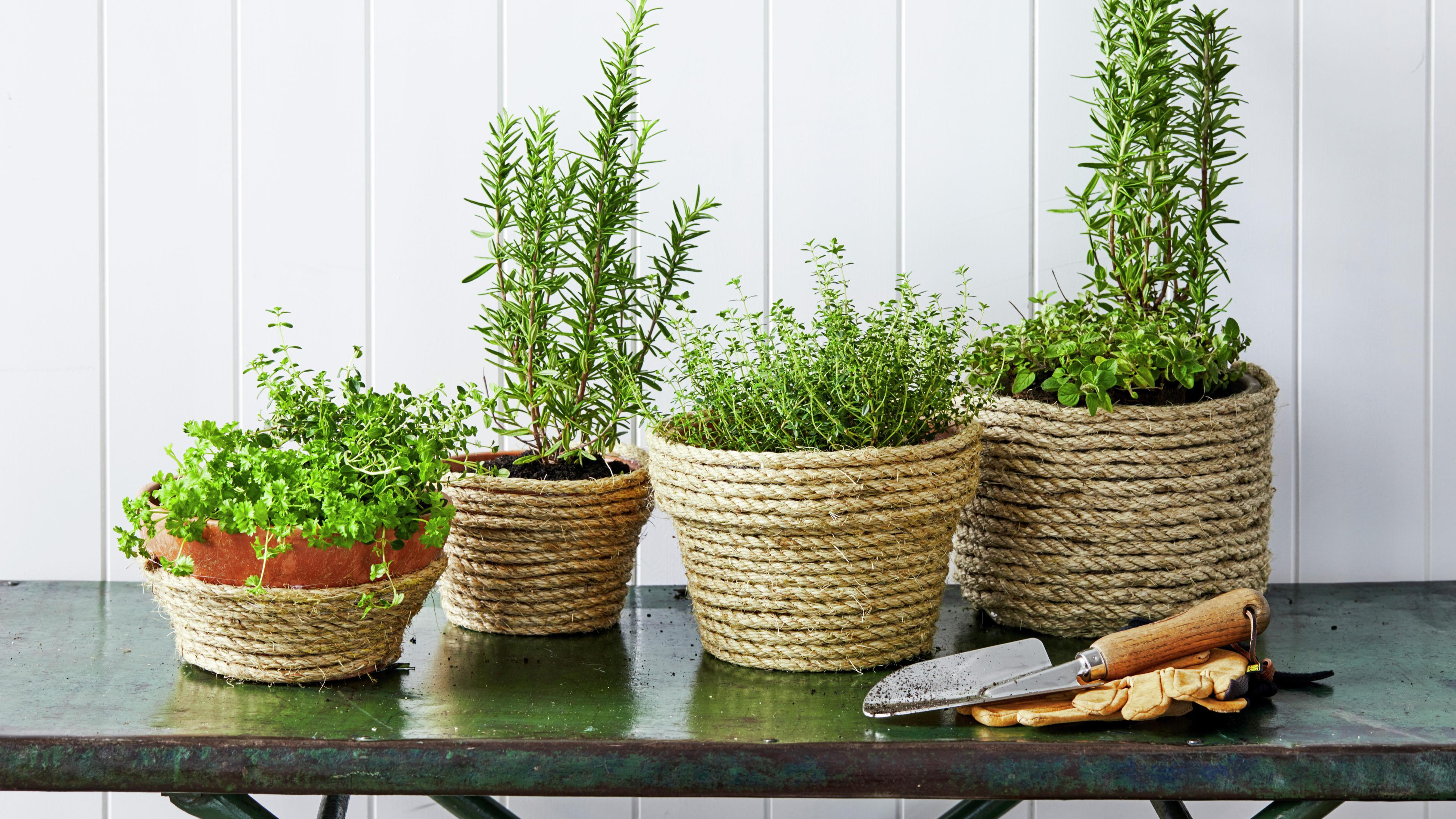 Pots Wrapped in Rope