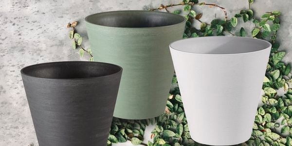 Three pots in front of plants