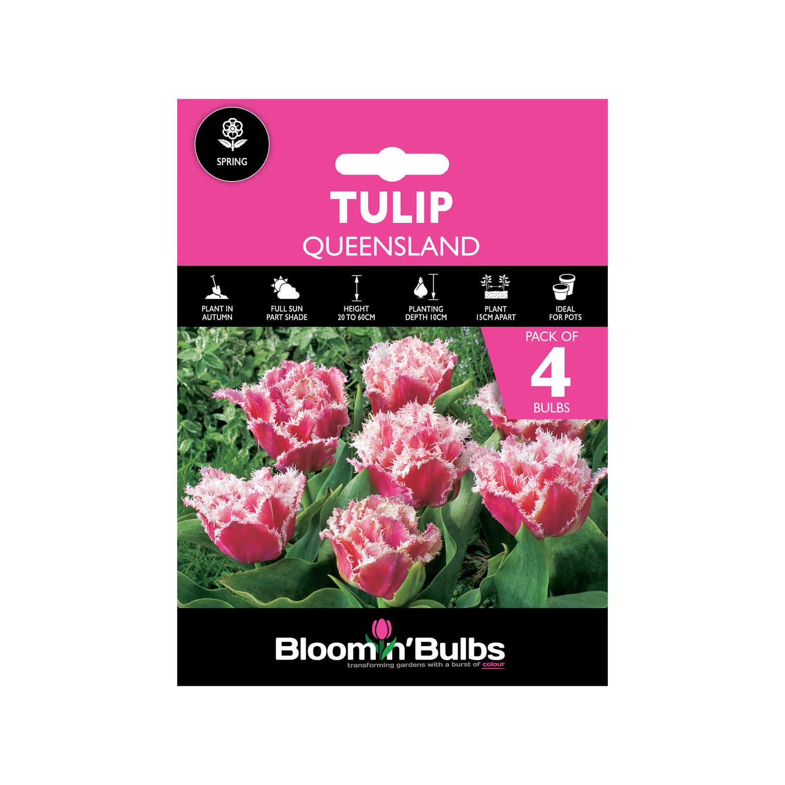 Bloomin Bulbs Tulip Queensland 4 Pack Bunnings Australia
