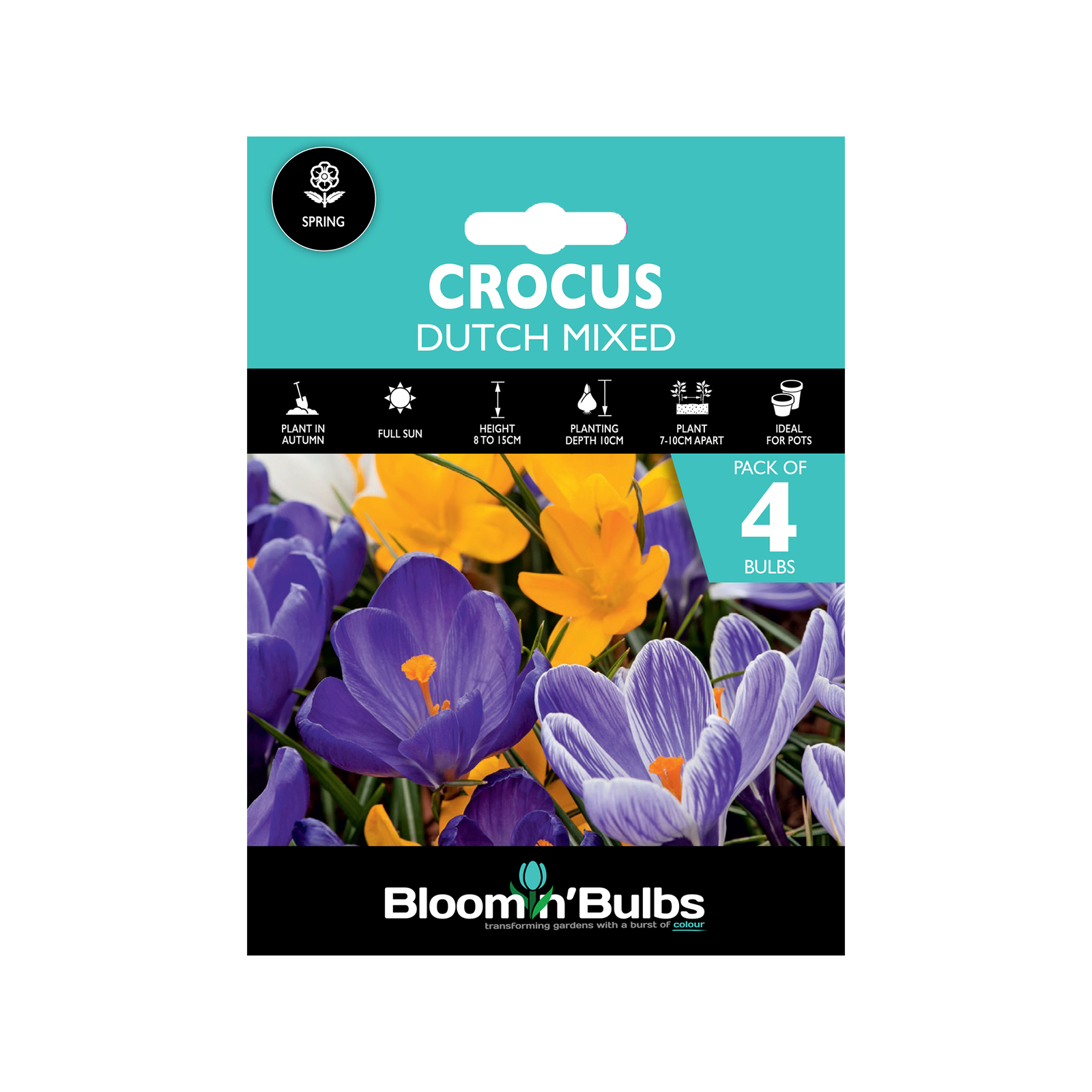 Bloomin' Bulbs Crocus Dutch Mixed 4 Pack Bunnings Australia