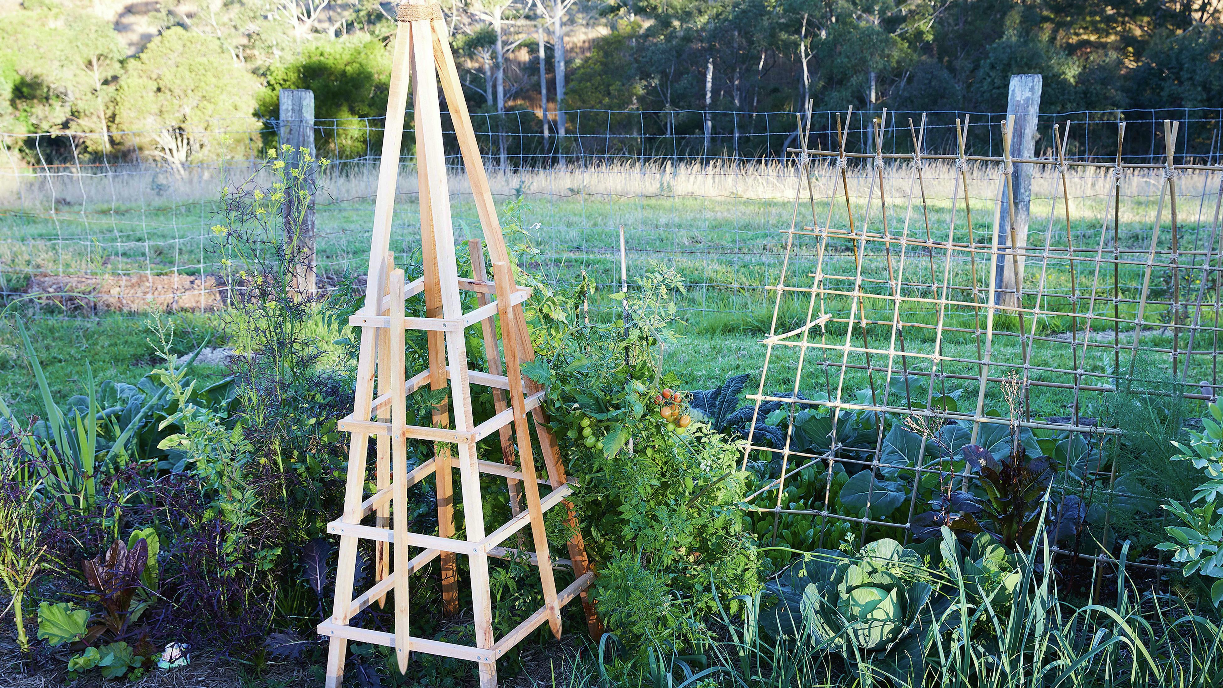 How To Build a Garden Obelisk Bunnings Australia