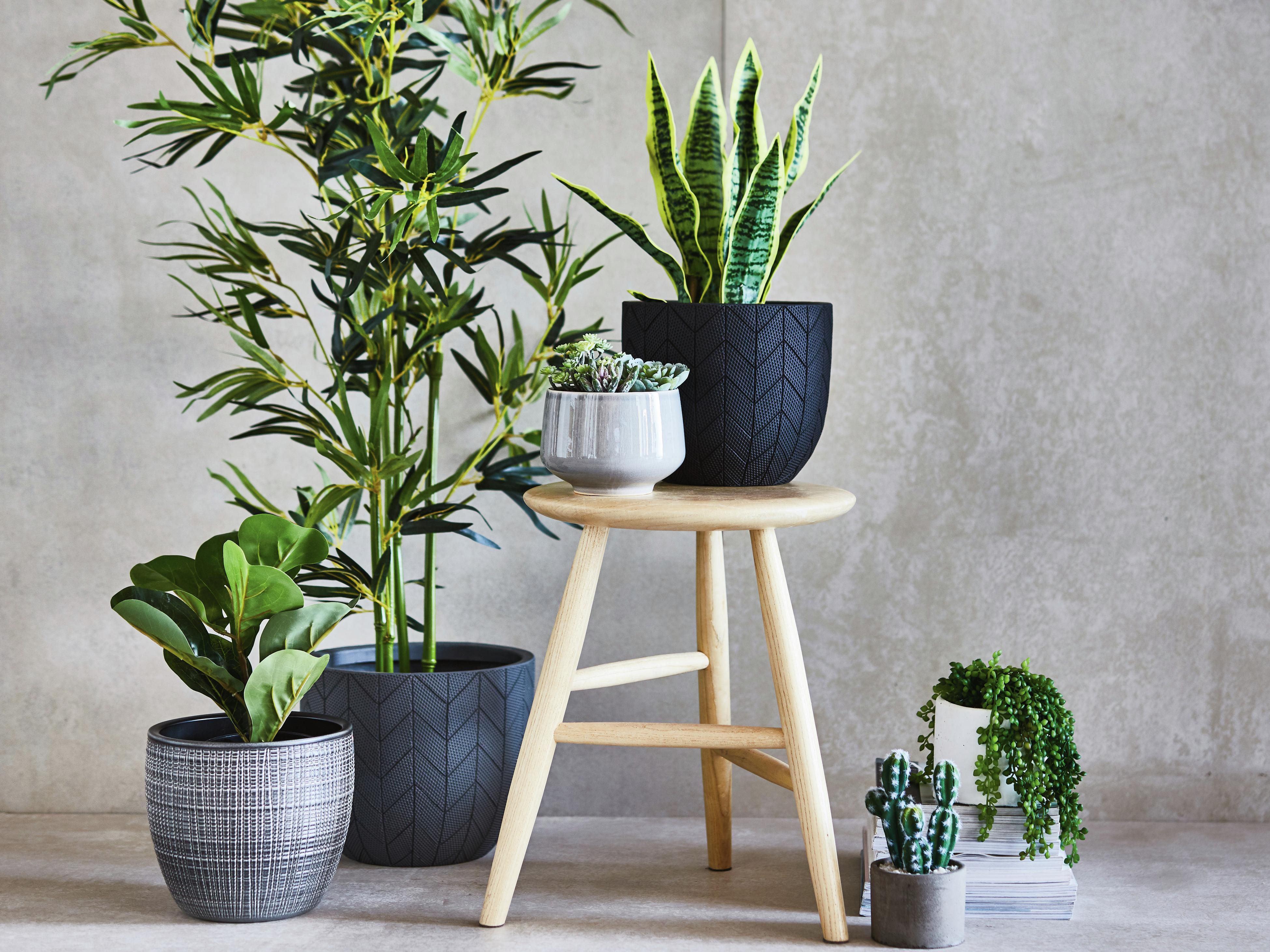 Artificial Plants - Fake Plants - Bunnings Australia