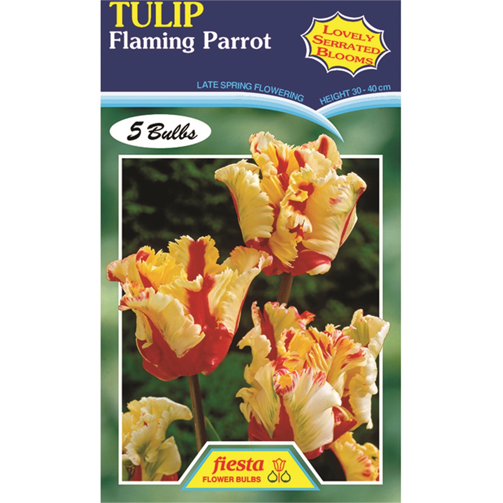 Tulip Flaming Parrot 5 Bulbs Bunnings New Zealand
