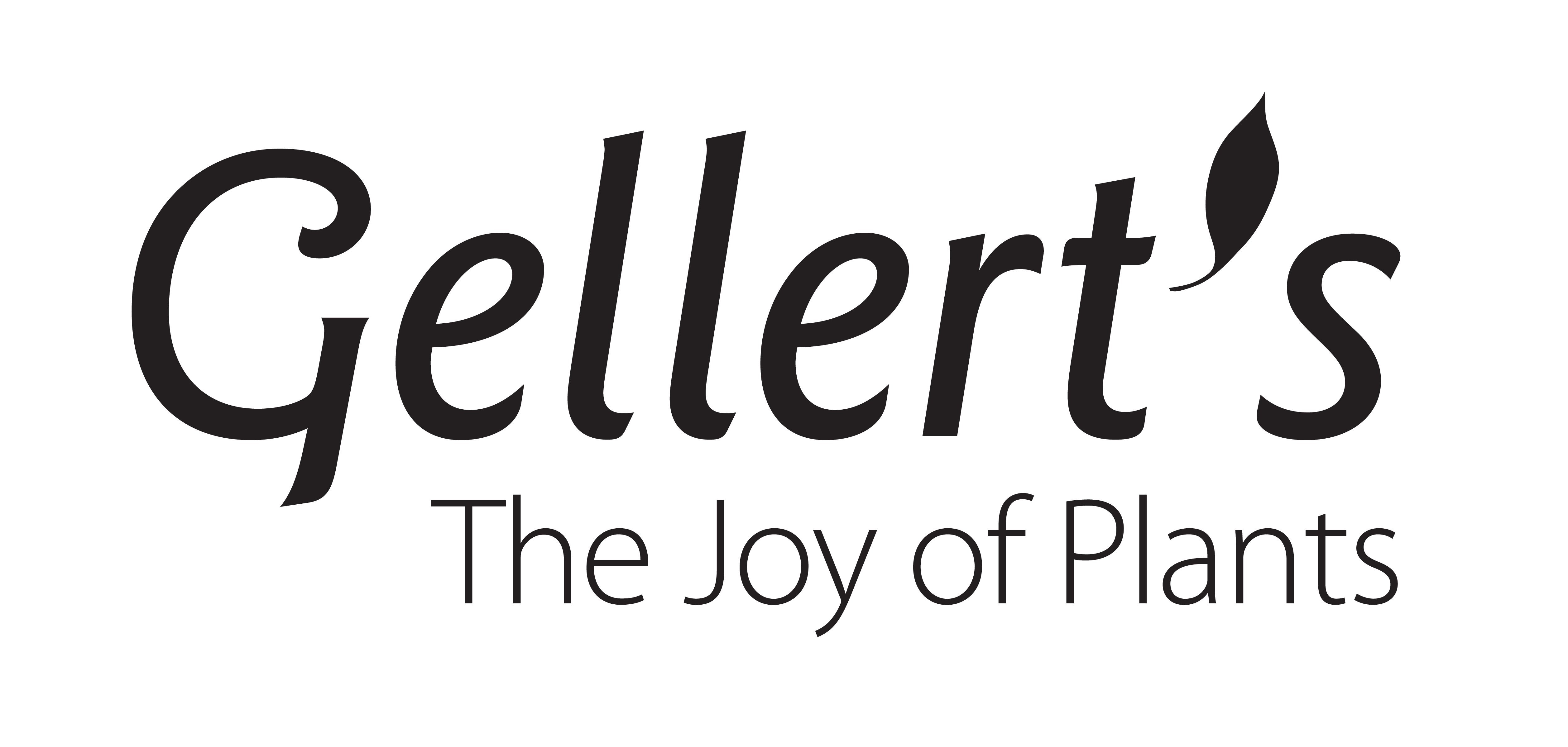 Gellerts