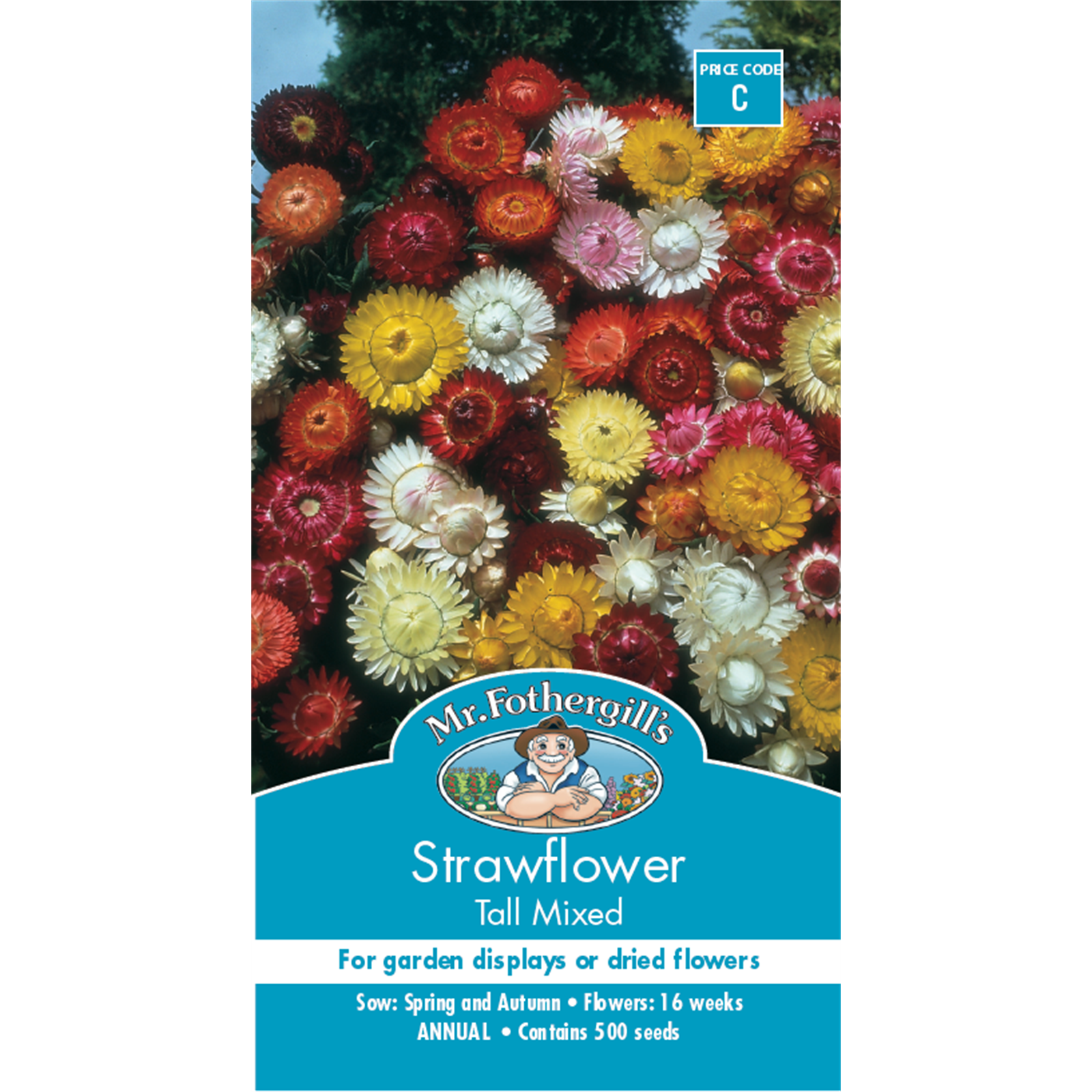 Mr Fothergill's Strawflower Tall Mixed Flower Seeds Bunnings Australia