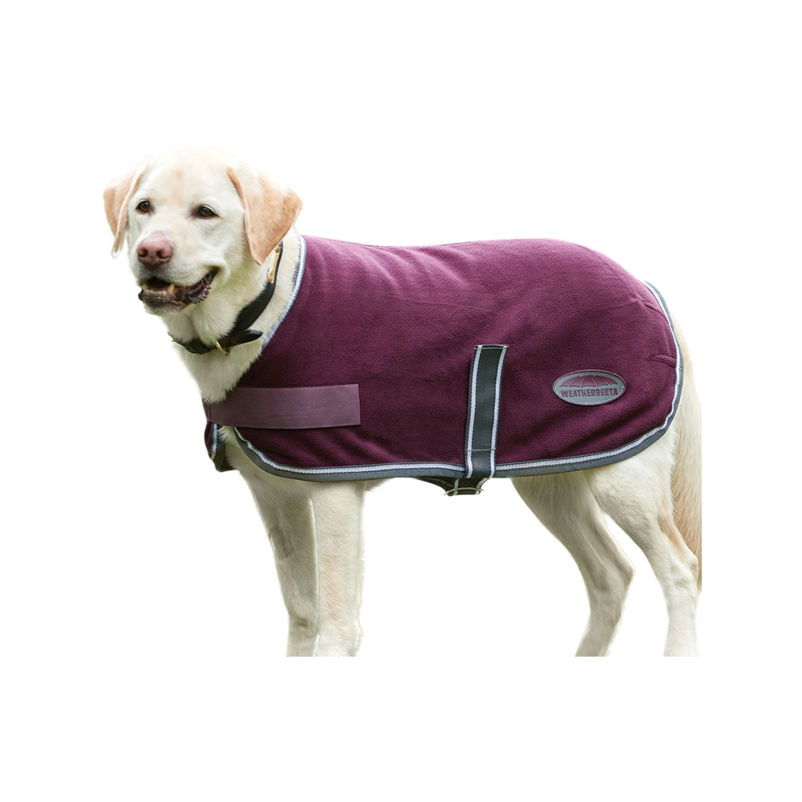 WeatherBeeta 55cm Maroon/Grey ComFiTec Fleece Dog Coat Bunnings Australia