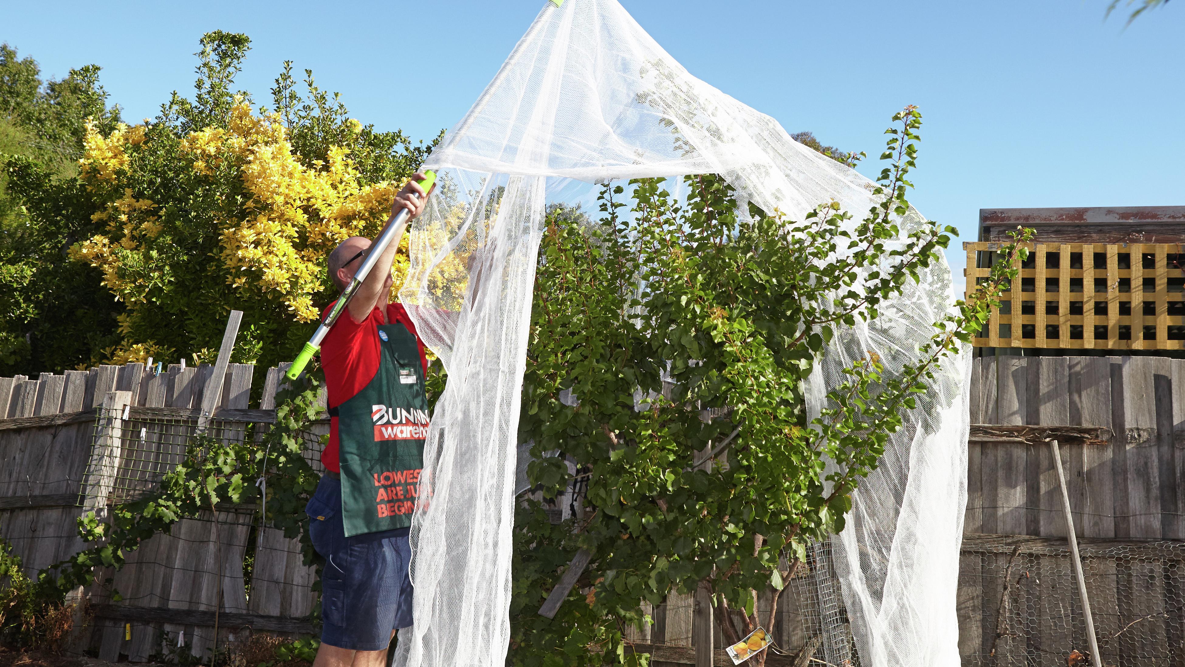 How to Properly Install Bird Nets on Tree Shelters