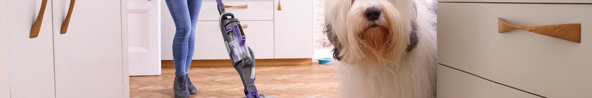 Dog peering around corner and person vacuuming after dog.